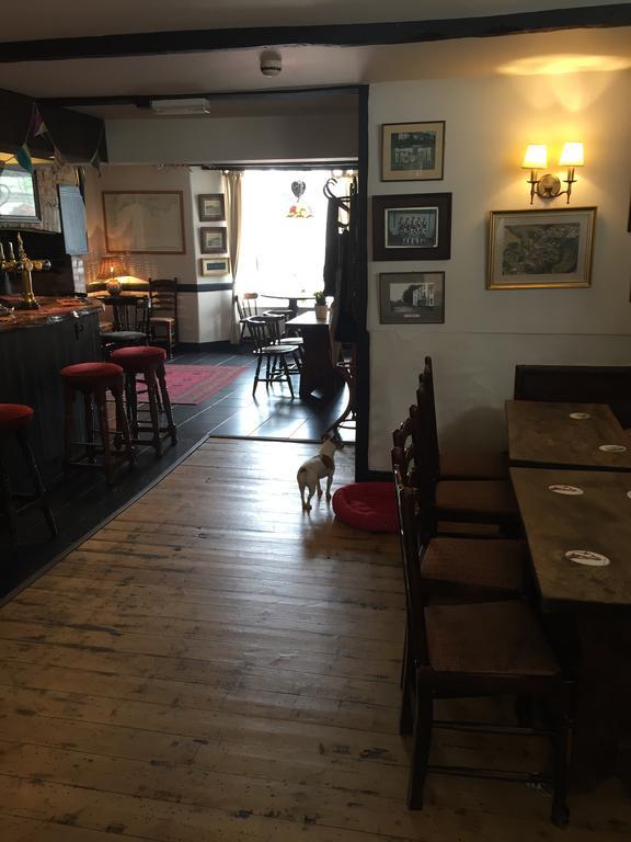 Red Lion Inn Sidbury Eksteriør bilde